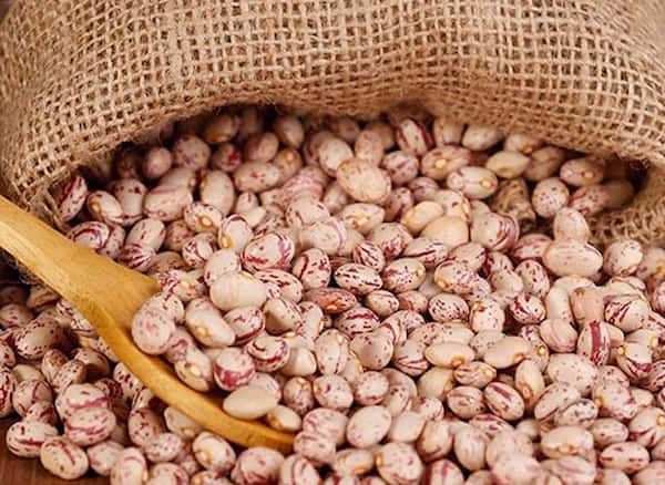 راهنمای خرید لوبیا چیتی بسته بندی + قیمت عالی
